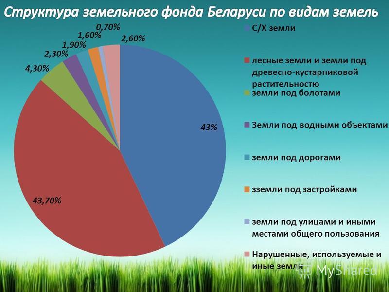 Какой процент земель. Структура земель Беларуси. Структура земельных ресурсов. Земельные ресурсы структура. Структура земельного ресурса.