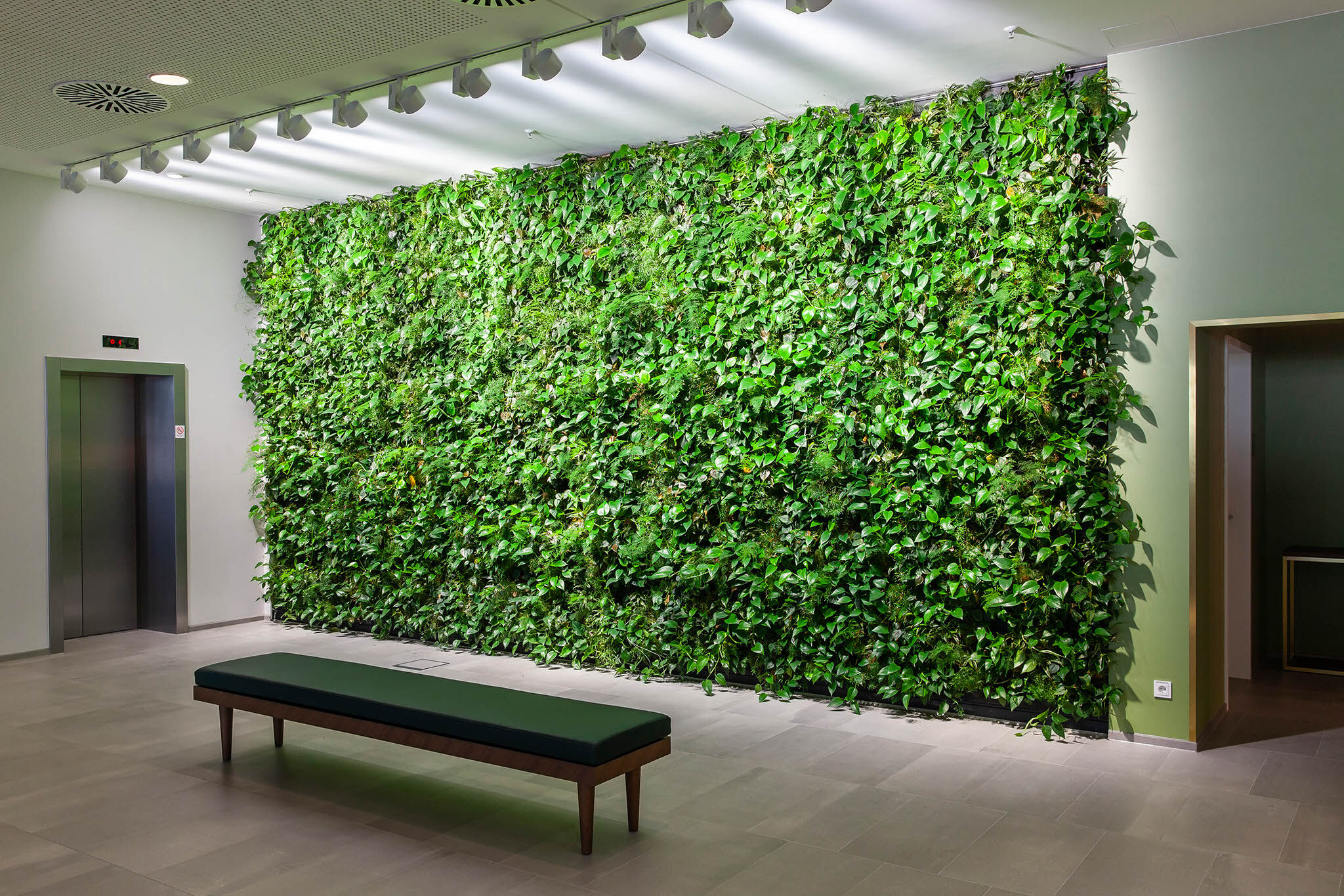 стена в квартире:  стена из растений, искусственная .