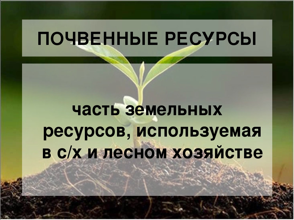 Почвенные ресурсы страны