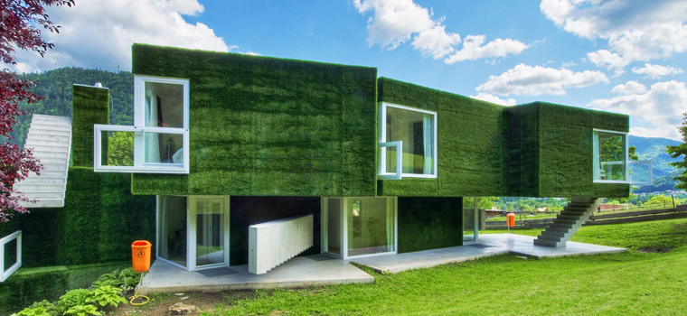  означает эко дом зеленый дом:  означают понятия Эко-дом Зеленый .