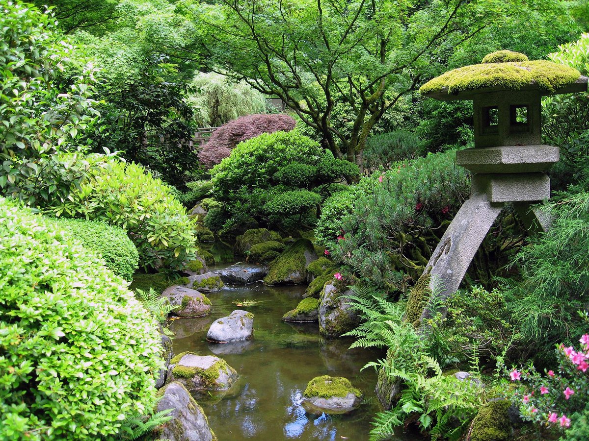 Мини японский сад: Японский зимний мини сад – изысканный колорит страны .