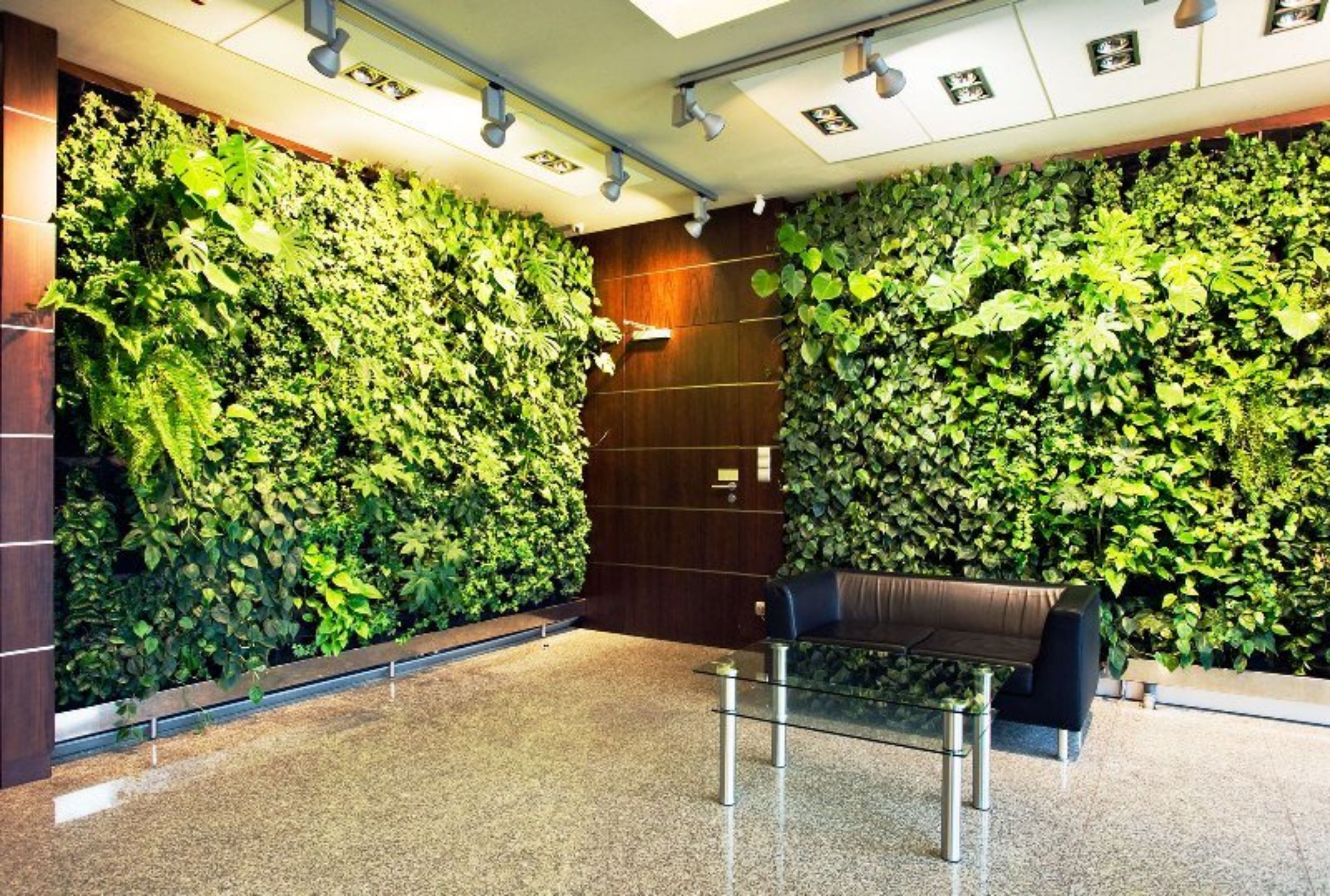  стена в квартире:  стена из растений, искусственная .