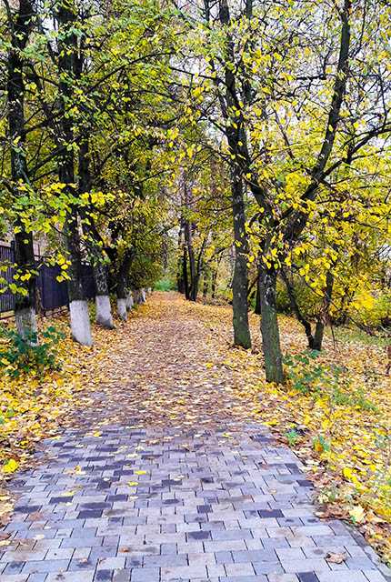 Дворянское гнездо в орле фото