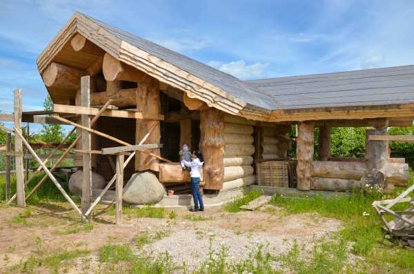 Лиственница полок в бане